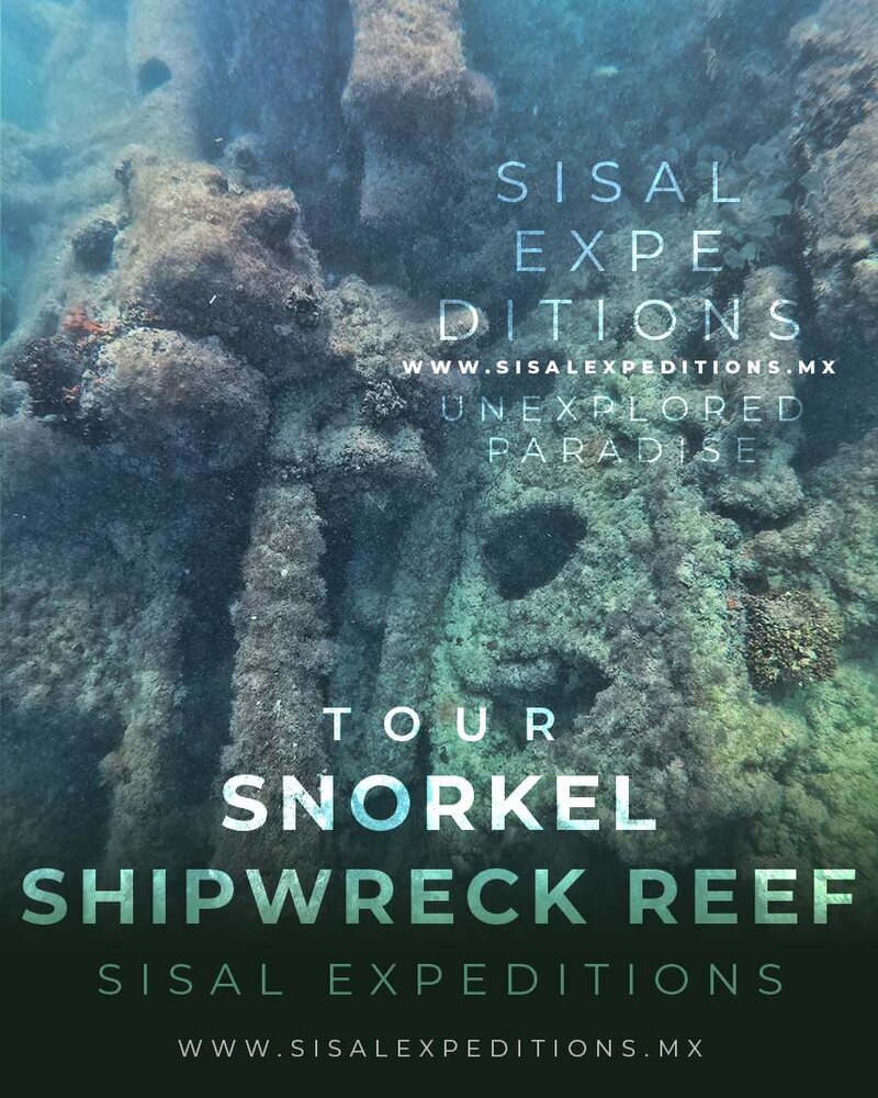 Tour de Sisal Expeditions
