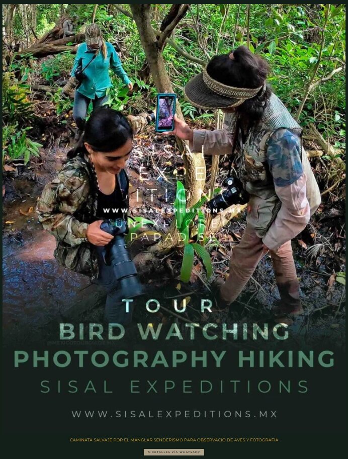 Tour de Sisal Expeditions