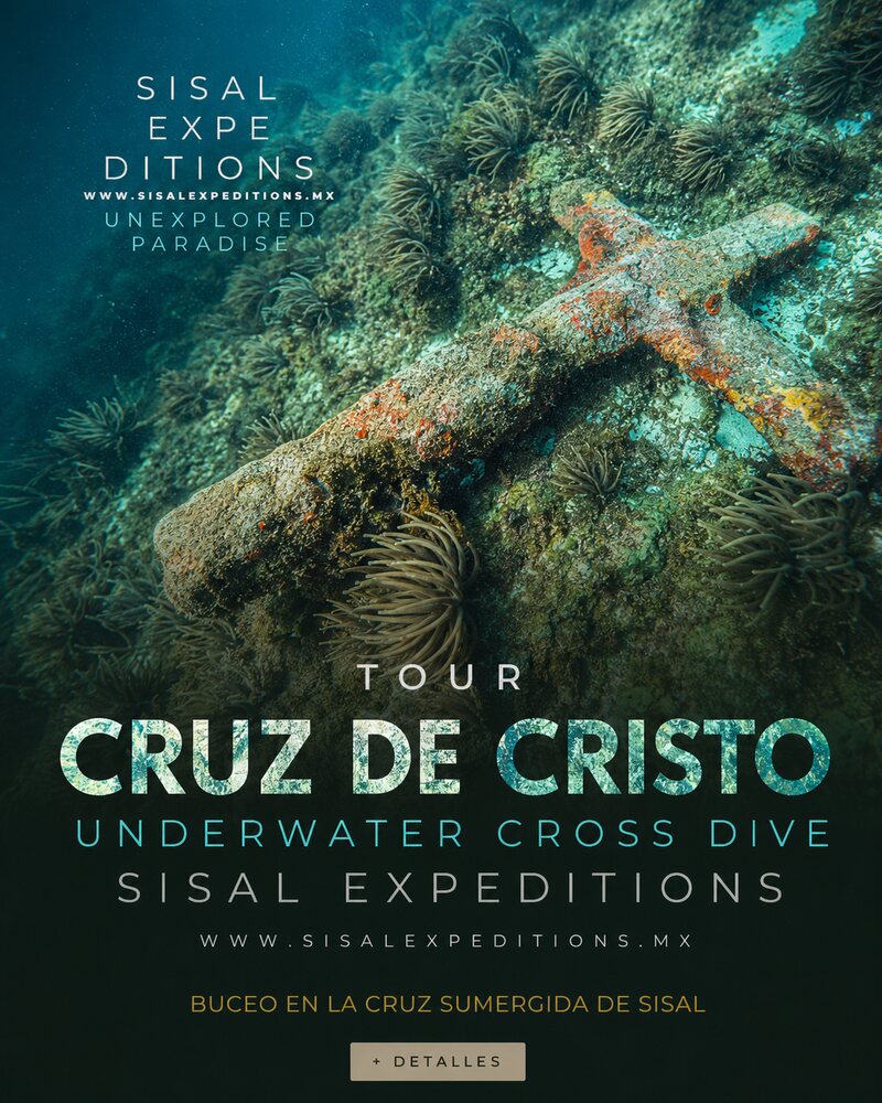 Tour de Sisal Expeditions