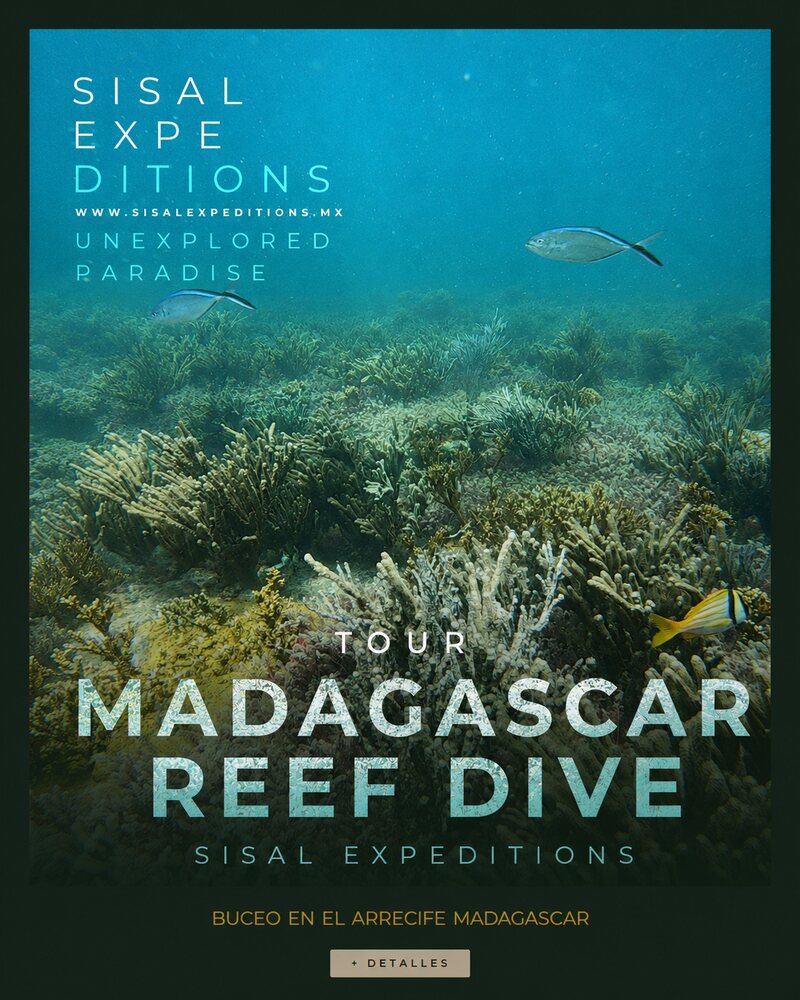 Tour de Sisal Expeditions