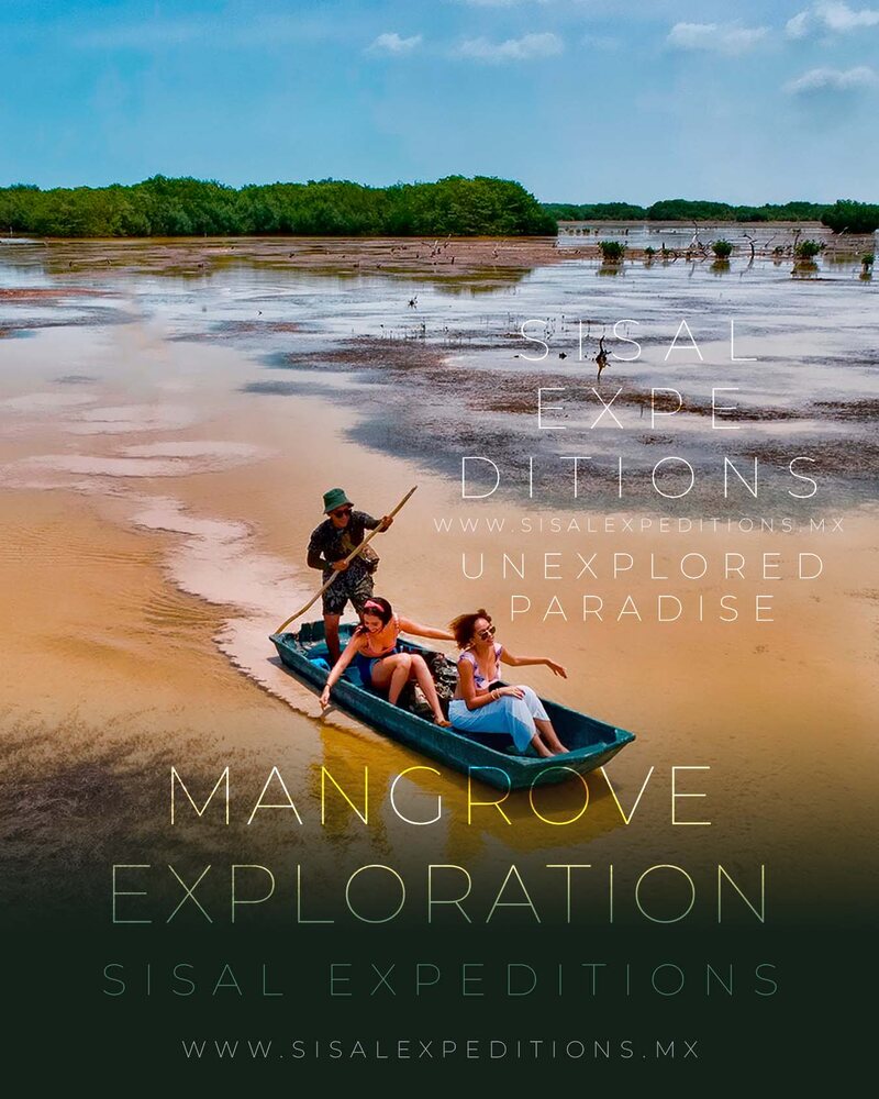 Tour de Sisal Expeditions