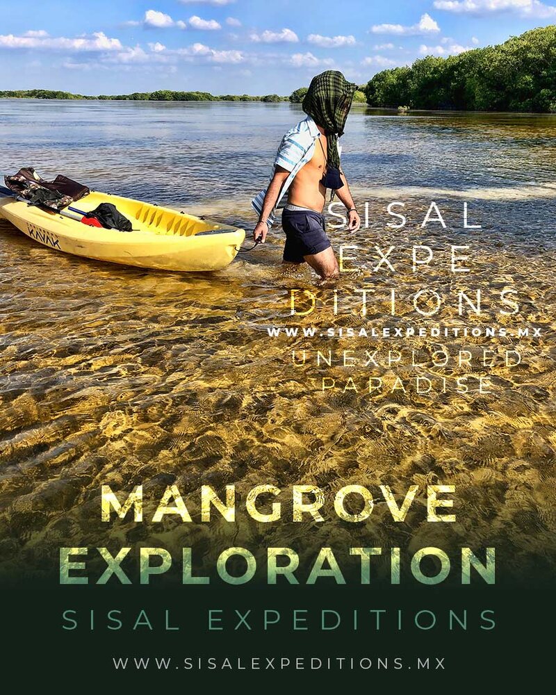 Tour de Sisal Expeditions
