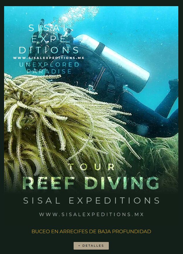 Tour de Sisal Expeditions