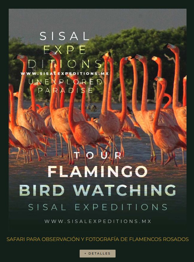 Tour de Sisal Expeditions