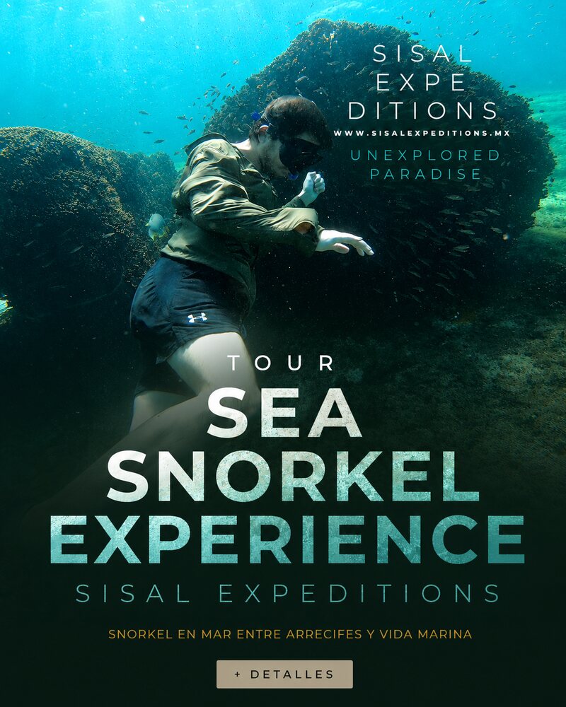 Tour de Sisal Expeditions